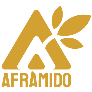 Project Amido
